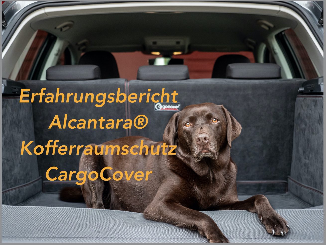 Erfahrungsbericht CargoCover Kofferraumschutz für den Hund